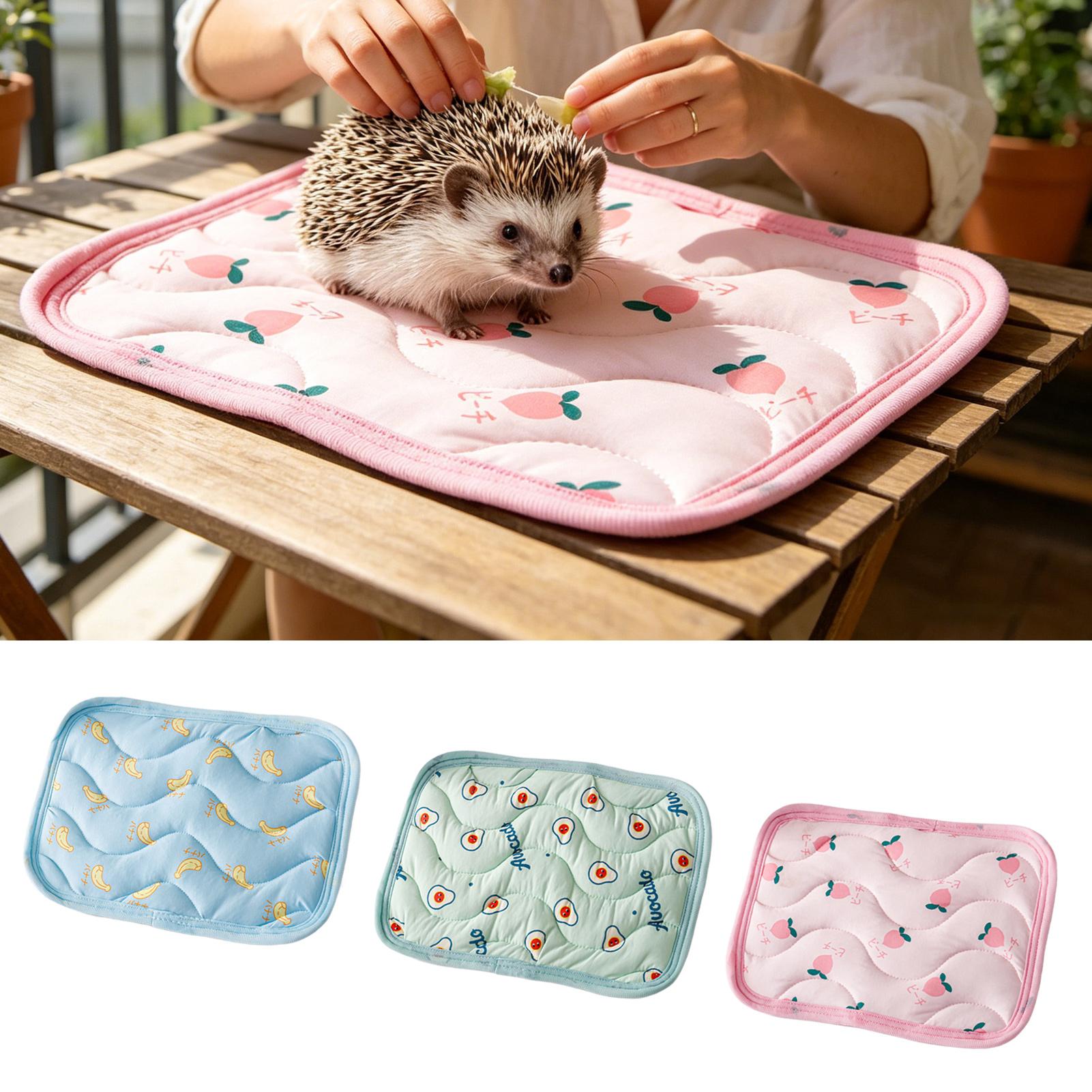 Outdoor Camping Dog Bed - แผ่นรองนอนเย็นสำหรับสัตว์เลี้ยง ซักได้ เหมาะสำหรับสัตว์เล็ก ที่นอนสัตว์เลี้ยง ผ้าห่มเย็นสำหรับแมว สุนัข