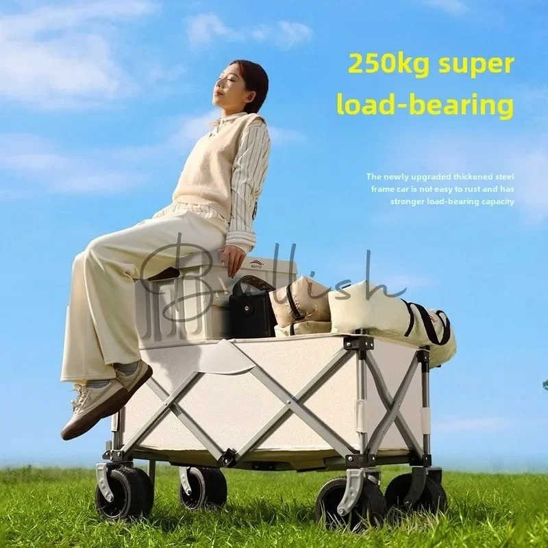 รถเข็นแคมป์ปิ้งแบบพับได้สำหรับ - Outdoor Camping Trolley บทวิจารณ์และราคา