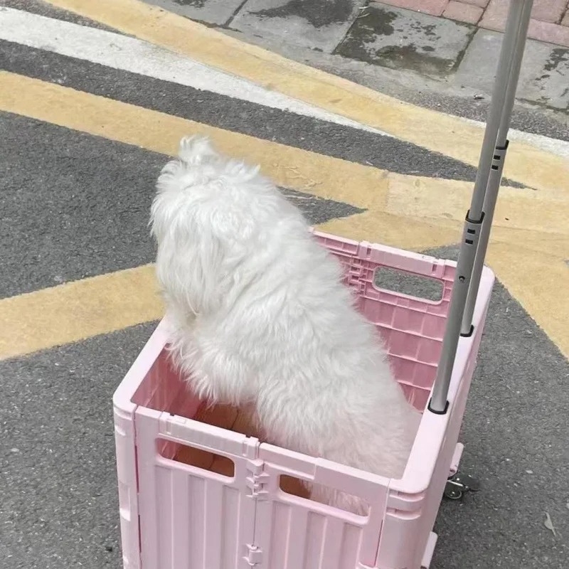 รถเข็นช็อปปิ้งพับได้สะดวกสบายส - Outdoor Camping Trolley บทวิจารณ์และราคา