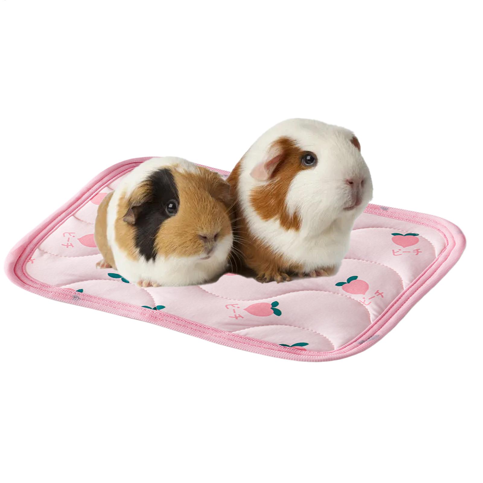 แผ่นรองนอนเย็นสำหรับสัตว์เลี้ย - Outdoor Camping Dog Bed บทวิจารณ์และราคา