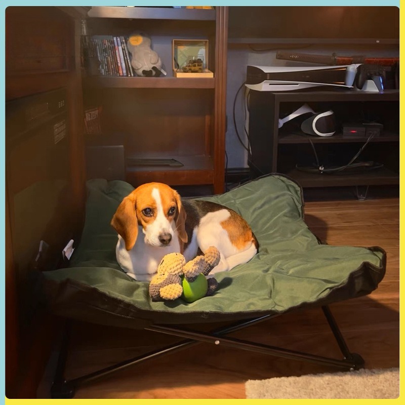 เตียงพับได้สำหรับสัตว์เลี้ยง พ - Outdoor Camping Dog Bed บทวิจารณ์และราคา