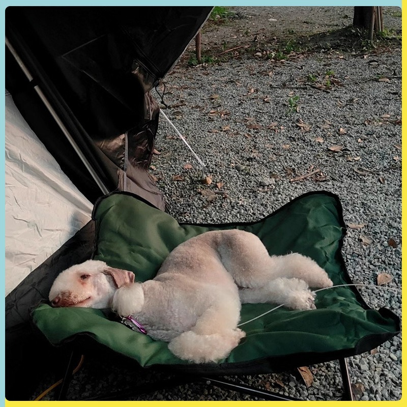 เตียงพับได้สำหรับสัตว์เลี้ยง พ - Outdoor Camping Dog Bed บทวิจารณ์และราคา