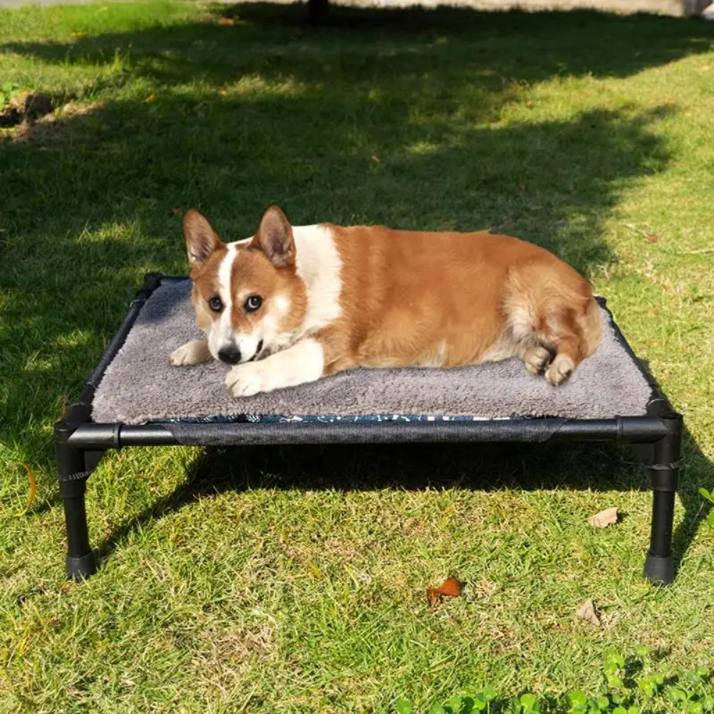 เตียงสุนัขยกพื้นสำหรับกลางแจ้ง - Outdoor Camping Dog Bed บทวิจารณ์และราคา